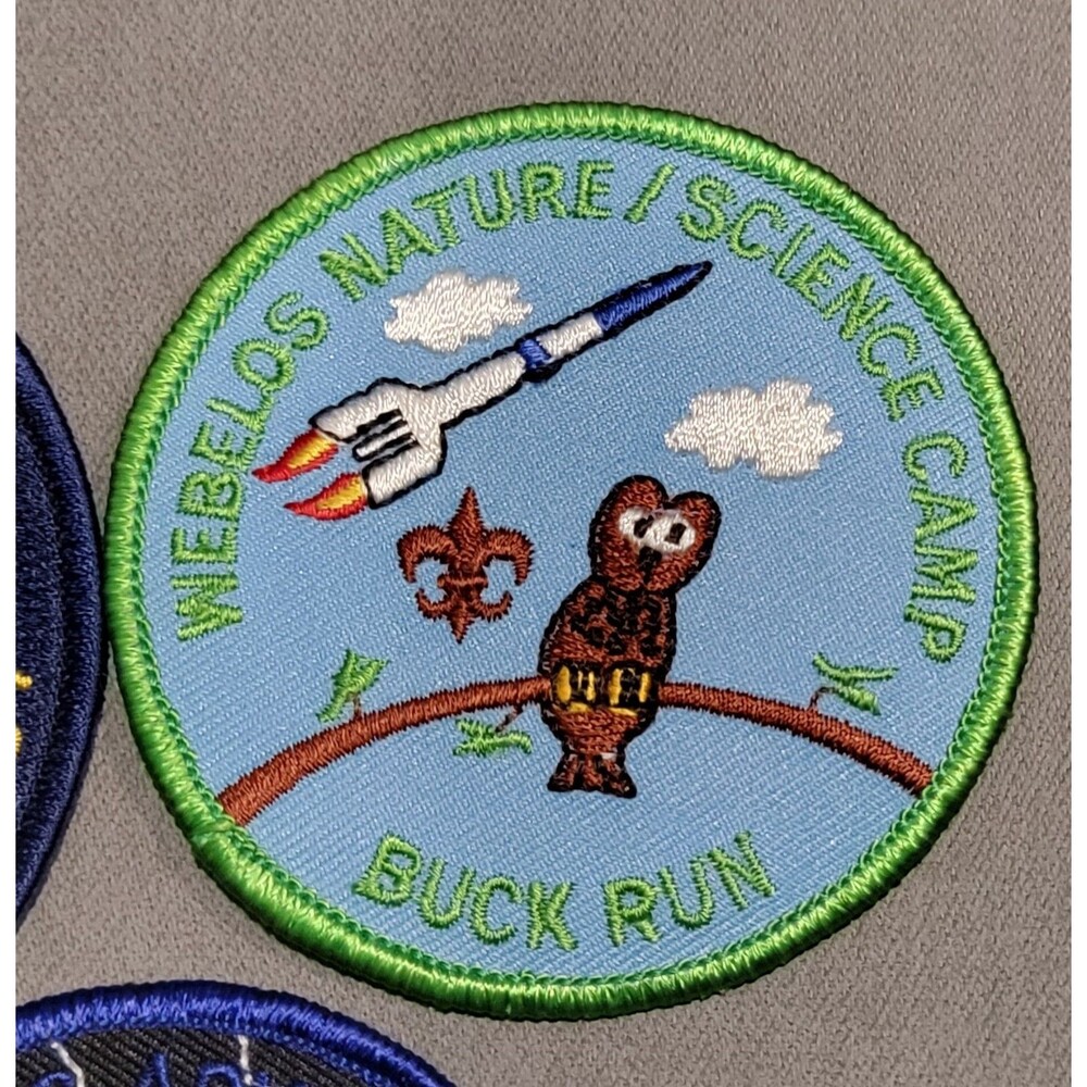 BSA Boy Scouts America Embroidered Patch Mixed Lot Eagle Camp Buck Run Science - Picture 3 of 7